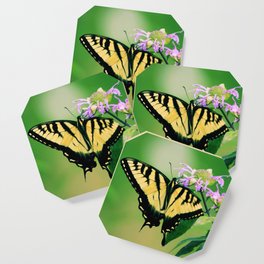 Eastern Tiger Swallowtail Coaster