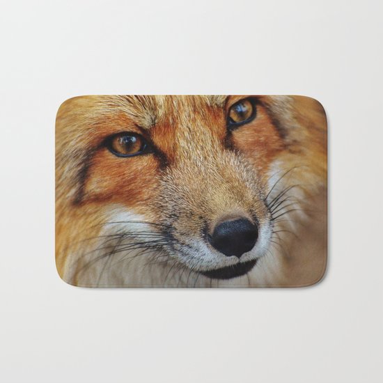 wild fox close up Bath Mat