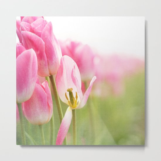 I Dream in Pink Metal Print