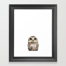 Little Owl Gerahmter Kunstdruck