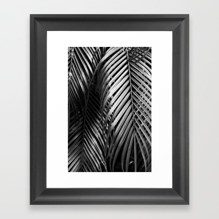 Palm Trees #298 Framed Art Print