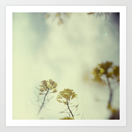 rape Art Print