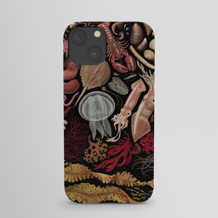 Intertidal Life of the North Atlantic (with species list) iPhone Case