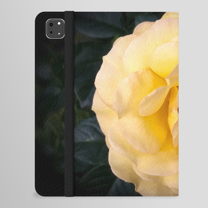 Pastel yelow rose blossom iPad Folio Case