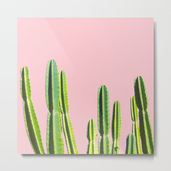 Cactus Metal Print