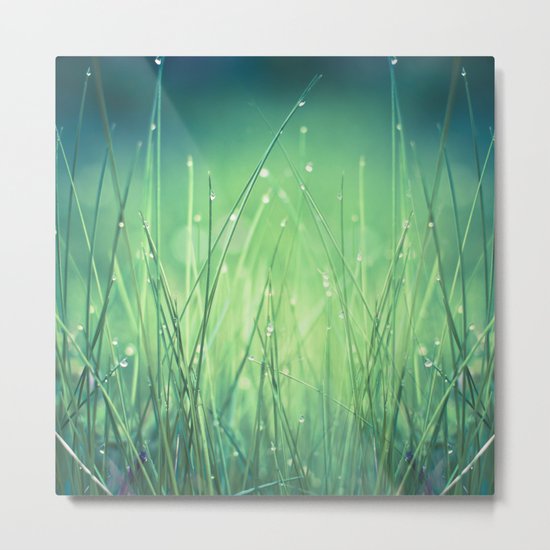 light-water and grass Metal Print