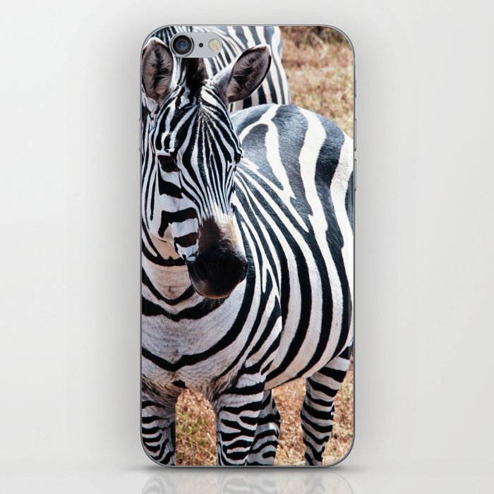 Zebra iPhone Skin