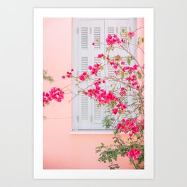 Pastel Pink Flowers on Pink Wall - Summer Botanical Travel Photography, Delicate Soft Tones Wall Art Art Print