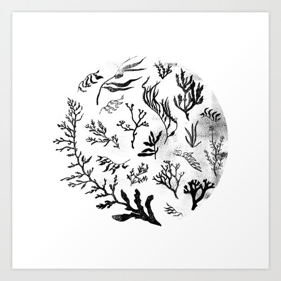 Sea Life no.2 Art Print