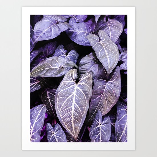 Jungle leaf - amethyst Art Print