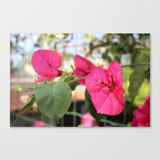 Violet Flower Canvas Print