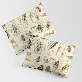 Vintage Insect Identification Chart // Arthropodes by Adolphe Millot XL 19th Century Science Artwork Pillow Sham