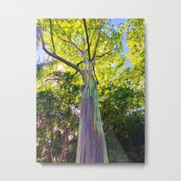 Rainbow Eucalyptus Trees Metal Print | Treetops, Photo, Colors, Eucalyptustrees, Trees, Rainbow, Rainbowtrees, Eastside, Nature, Roadtohana 