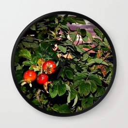  Rose Hips by the Sea, at Sunset (Wild Fresh, Bright and Ripe) Wall Clock