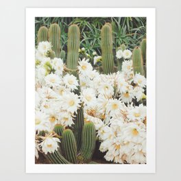Cactus and Flowers Art Print