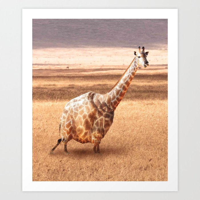 Cute Funny Fat Giraffe Art Print