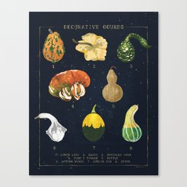 Decorative Gourds Chart Canvas Print