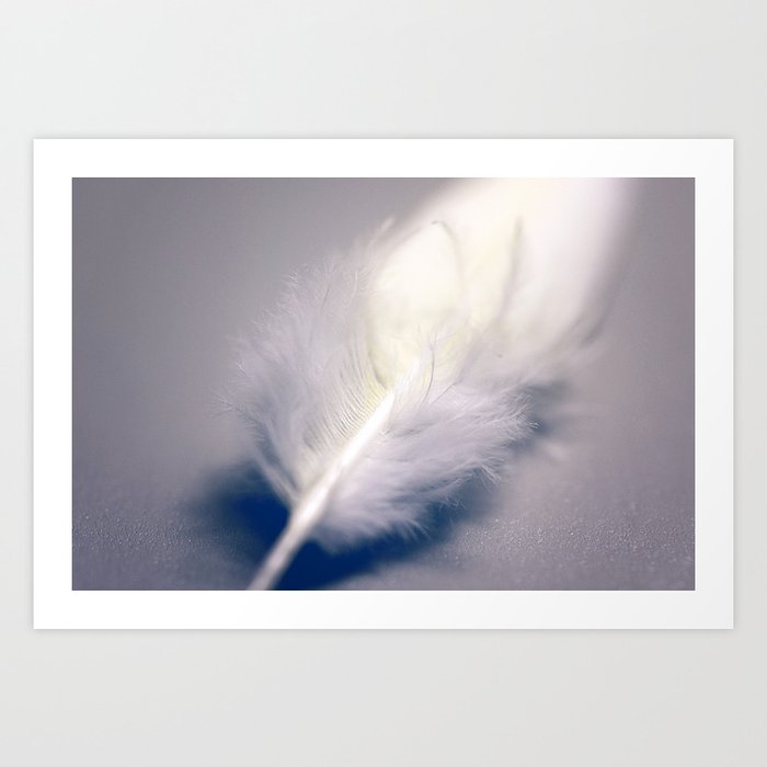 Fly By Art Print