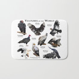 Vultures of the World Bath Mat | Drawing, Vulturecollage, Andeancondor, Birdart, Beardedvulture, Egyptianvulture, Blackvulture, Vultureart, Buzzards, Birdsofprey 