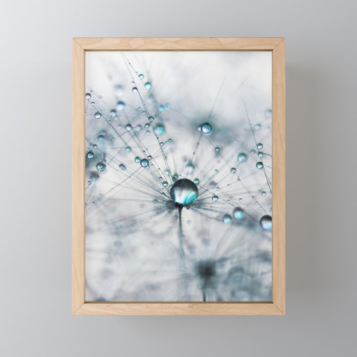 Dandelion Blue - Elegant Flower photography by Ingrid Beddoes Framed Mini Art Print