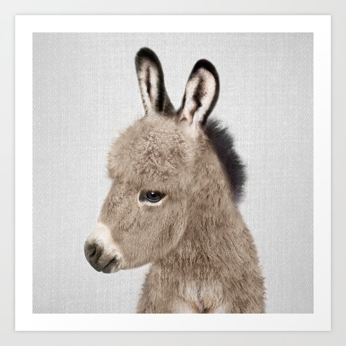 Donkey - Colorful Art Print