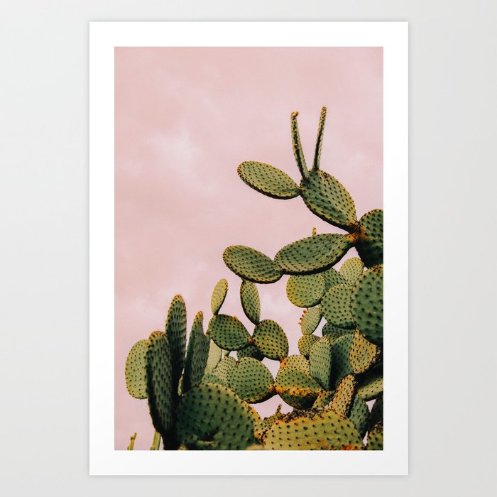 Cactus on Pink Sky Art Print