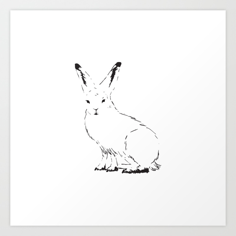 society6