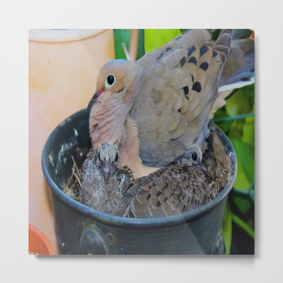 A Bird in A Bucket, Part 3 Metal Print
