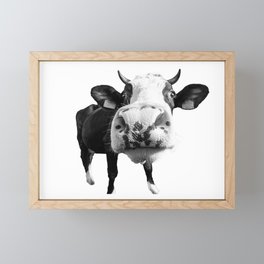 Inquisitive Cow Framed Mini Art Print
