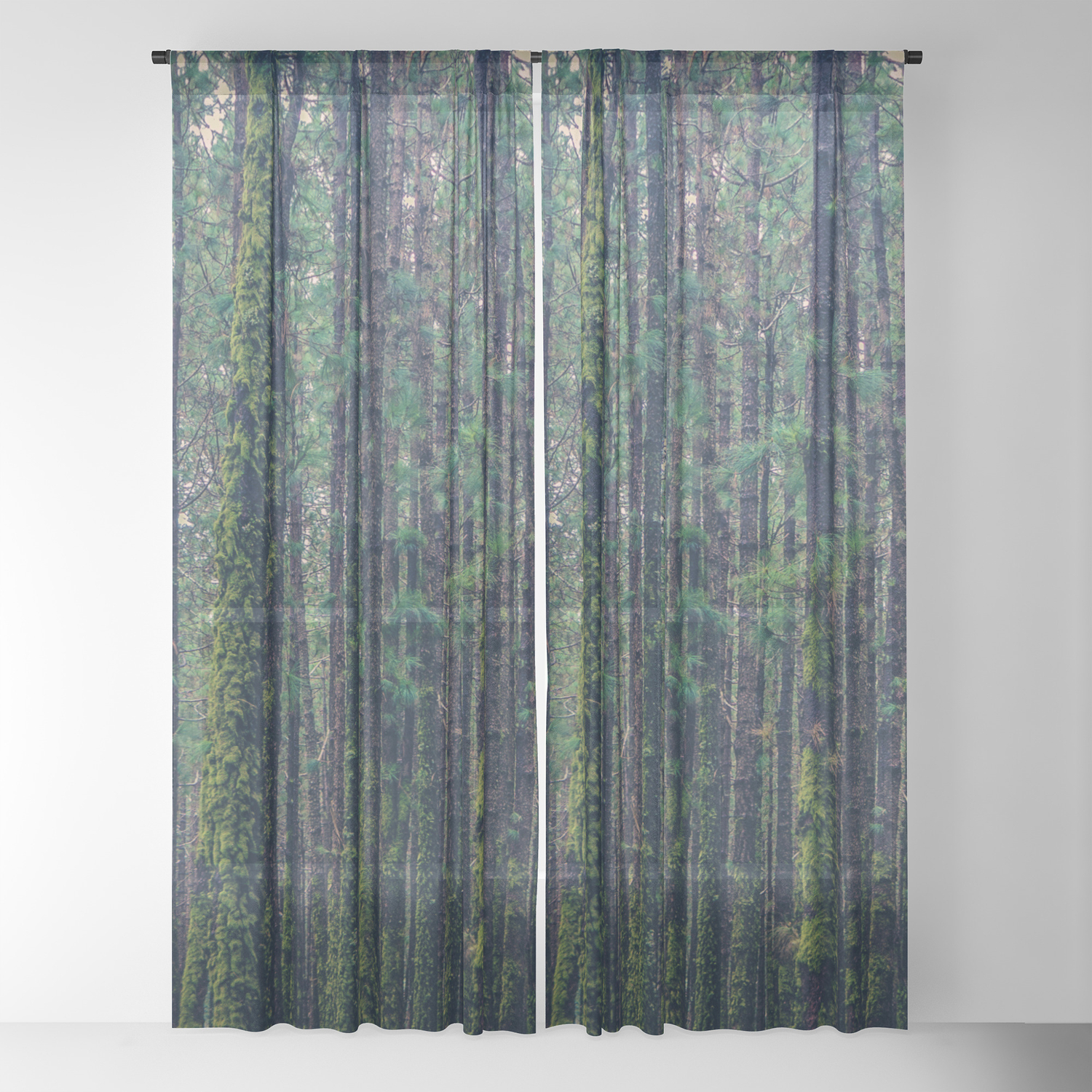 Forest Landscape Photography Tree Background Trees Vintage Style Sheer Curtain By Ohaniki