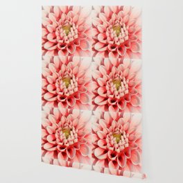 Dahlia Wallpaper For Any Decor Style Society6