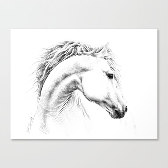 Horse Canvas Print