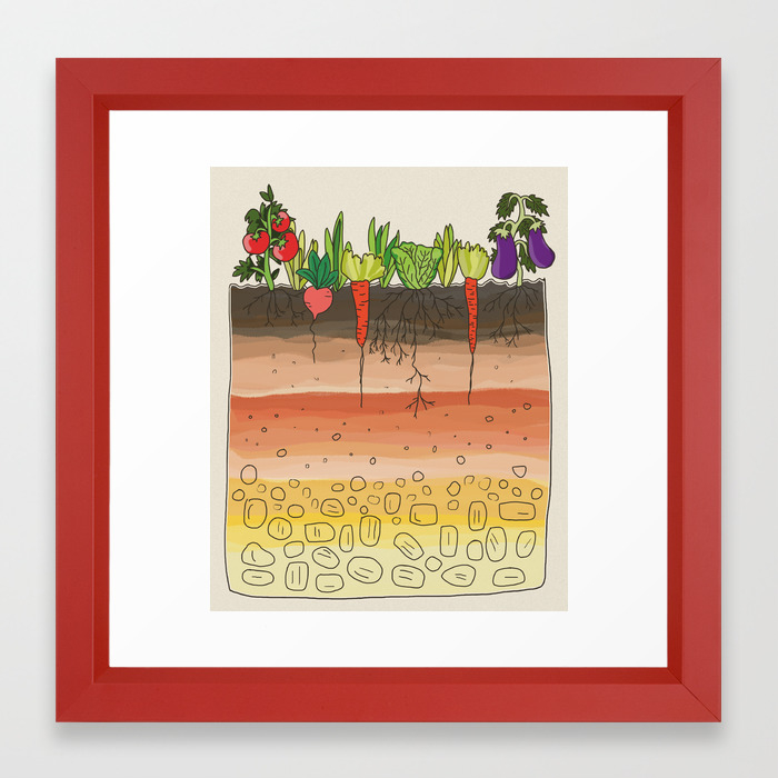 Earth Soil Layers Vegetables Garden Cute Educational Illustration Kitchen Decor Print Framed Art Print By Badenglishcat Society6