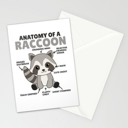 Sweet Raccoon Explanation Anatomy Of A Raccoon Stationery Card
