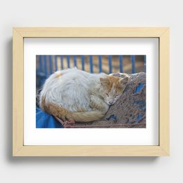 Sleeping cat Morocco  Recessed Framed Print