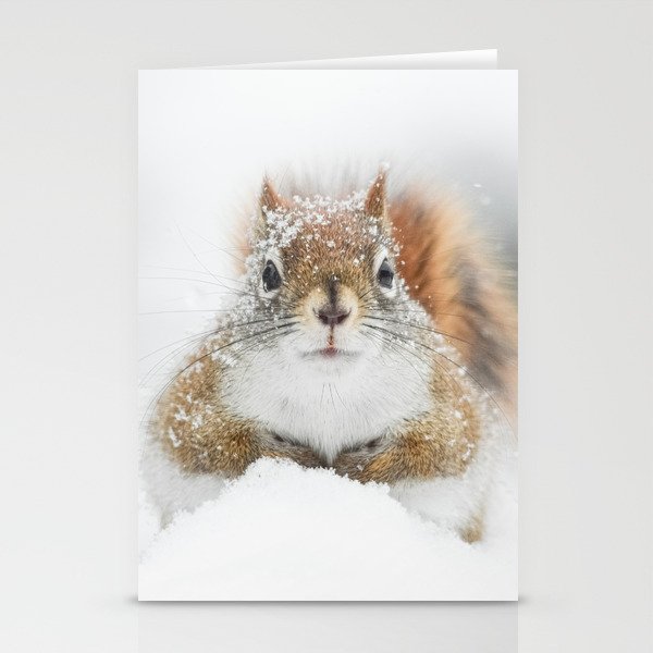 Red Squirrel in Snow Stationery Cards