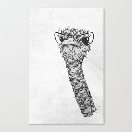 Ostrich Canvas Print