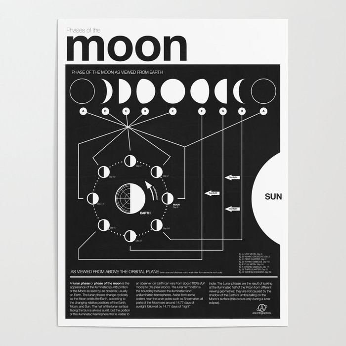 Phases of the Moon infographic Poster