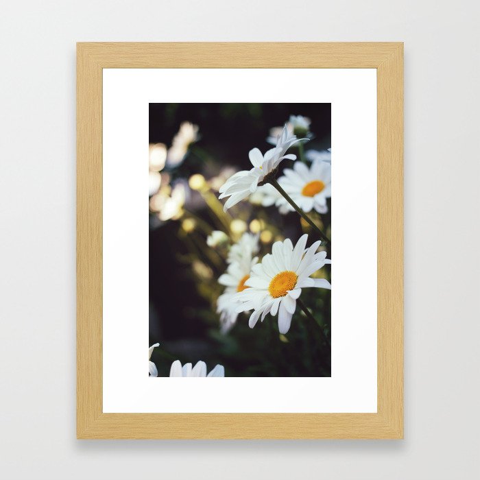 Daisy Haze Framed Art Print By Haleyspeidel Society6 Daisy Haze Framed Art Print