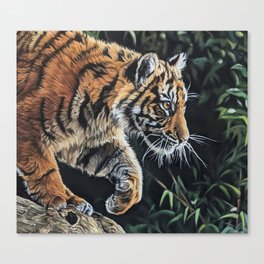 Leaping attack Canvas Print