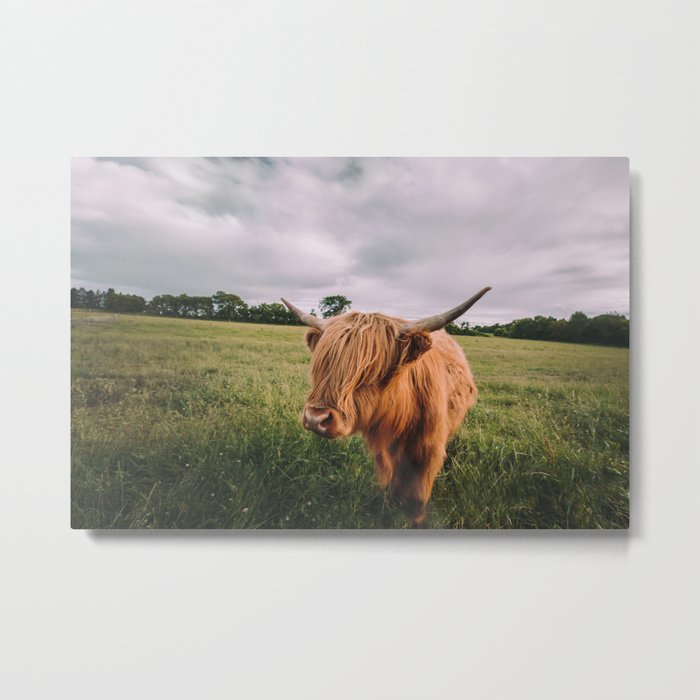Epic Highland Cow Metal Print