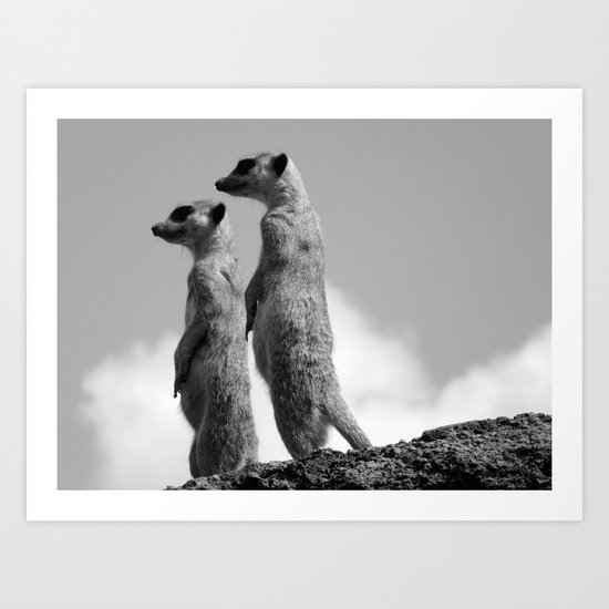 Meerkats, Fuerteventura. Art Print