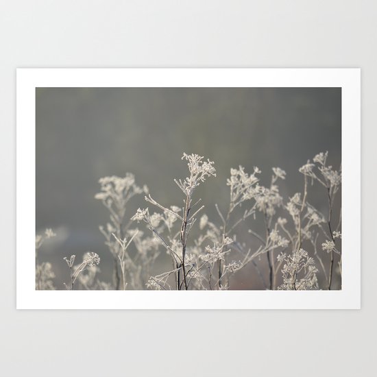 Cold Art Print