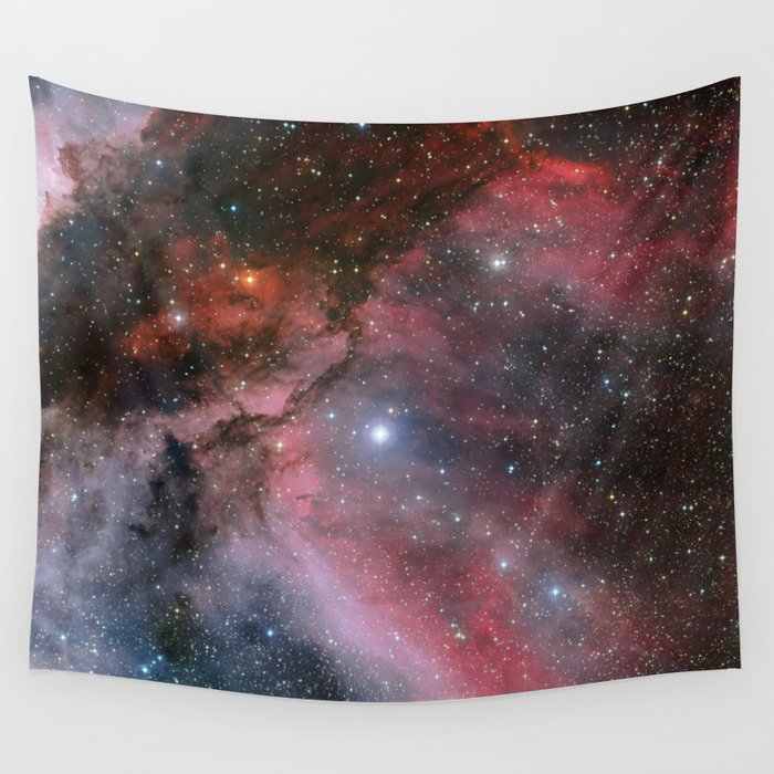 The Carina Nebula Wolf Rayet Star Wr 22 Wall Tapestry By Spacedout
