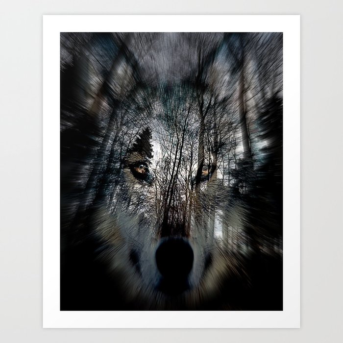 wolf Art Print