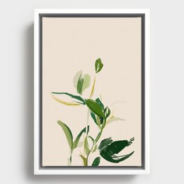 Plants In Summer Beige. Framed Canvas