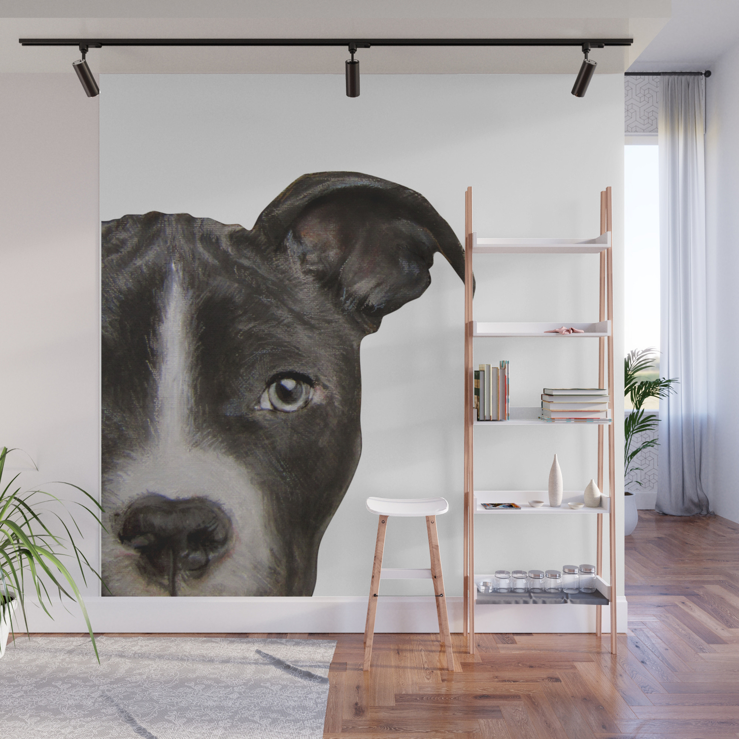 society6