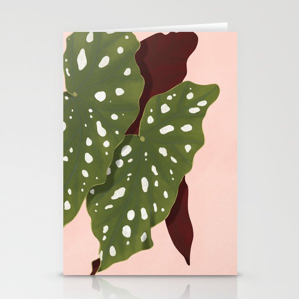 Begonia corallina - dreamy house plants Stationery Cards