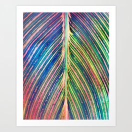 503 - Canna Leaf Abstract Art Print