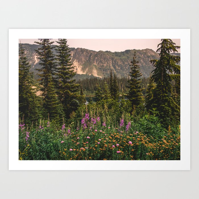 Mount Rainier Wildflower Adventure VI - Pacific Northwest Mountain Forest Wanderlust Art Print